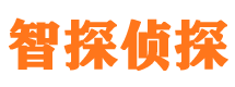 黄埔市私家侦探